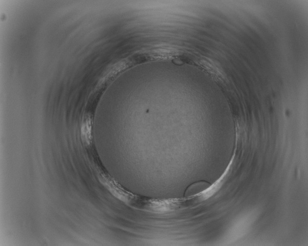 X0000067390190200604031042