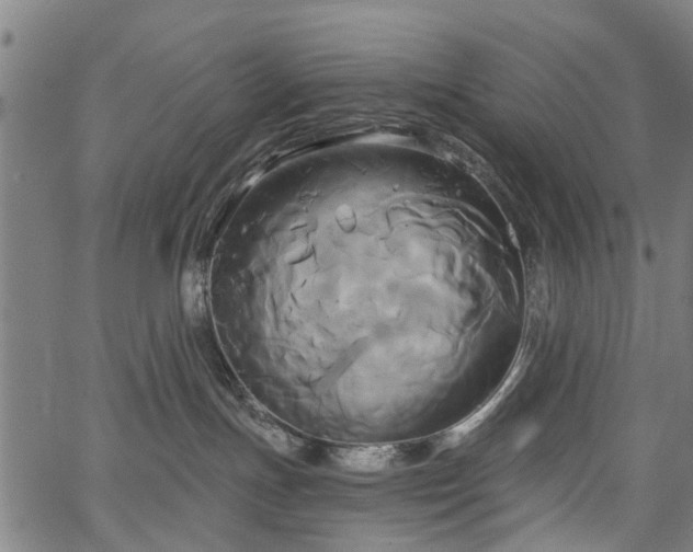 X0000067390191200604031042