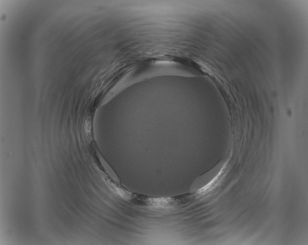 X0000067390192200604031042