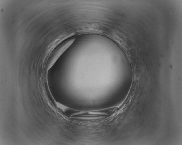 X0000067390193200604031041