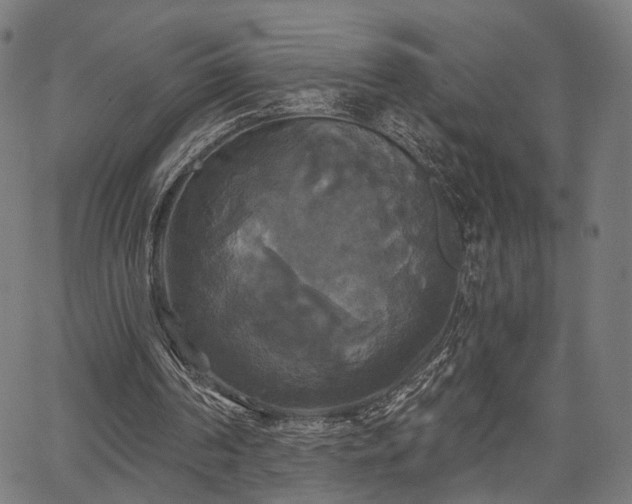 X0000067390194200604031041