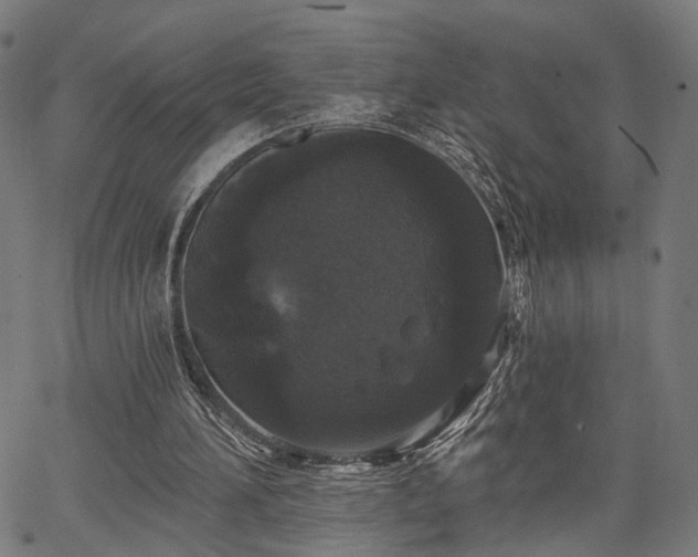 X0000067390196200604031041