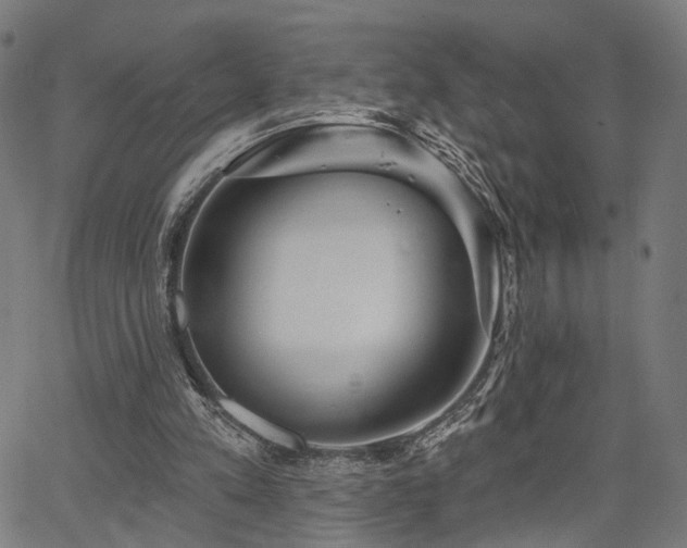 X0000067390197200604031041