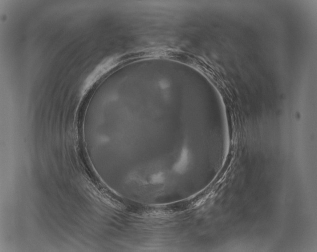 X0000067390198200604031041