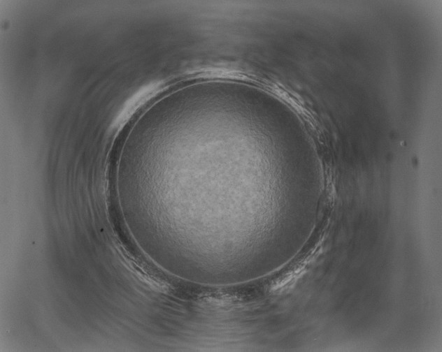 X0000067390199200604031041