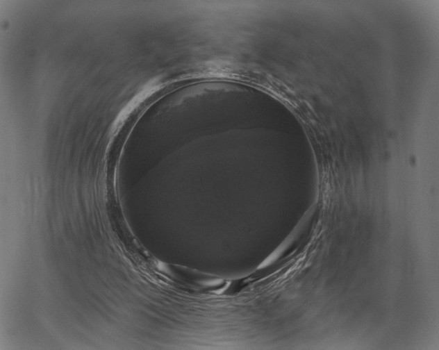 X0000067390200200604031041