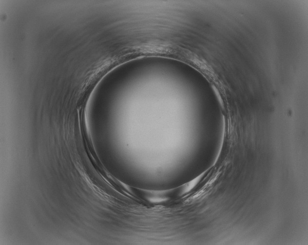 X0000067390201200604031041