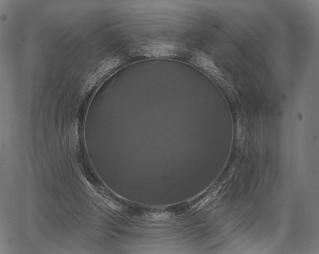 X0000067390202200604031041