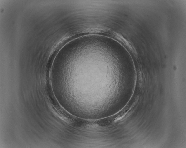 X0000067390203200604031041