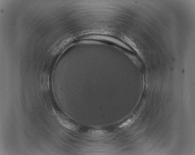 X0000067390205200604031041