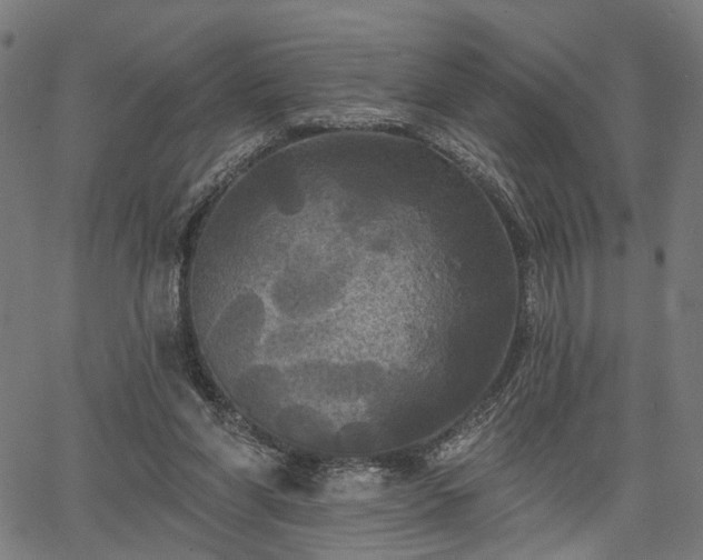 X0000067390206200604031041