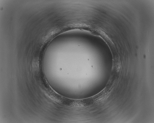 X0000067390207200604031041