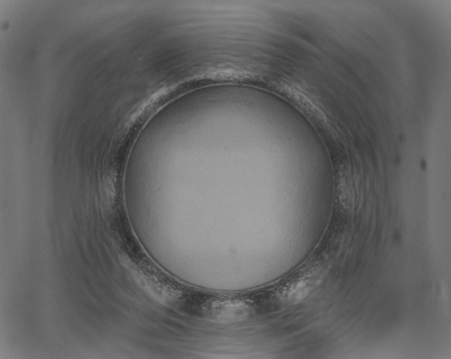 X0000067390208200604031041