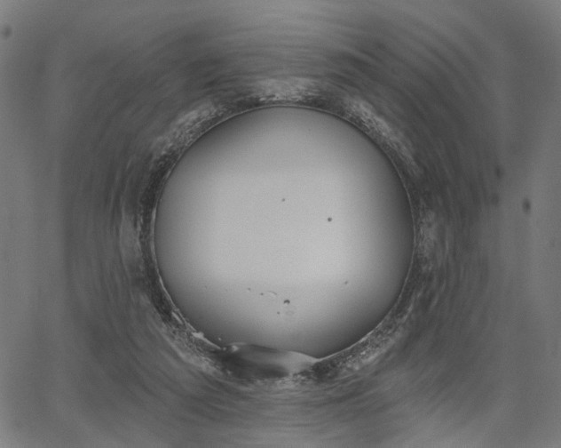 X0000067390209200604031041