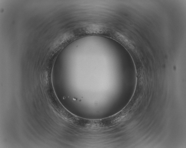 X0000067390211200604031041