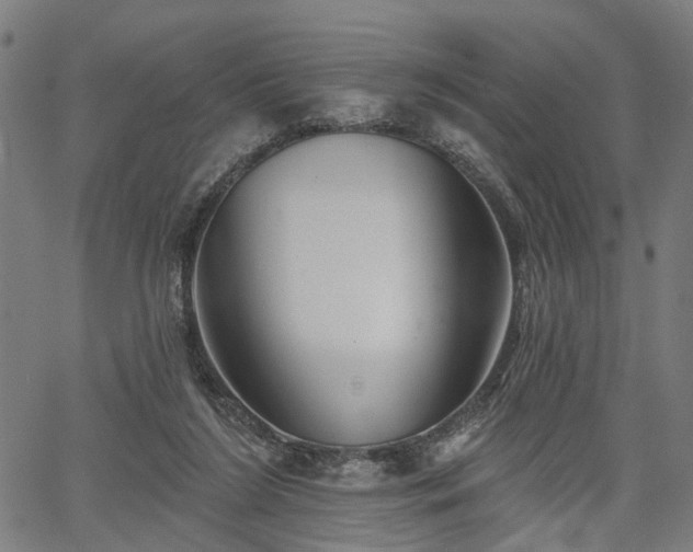 X0000067390212200604031041