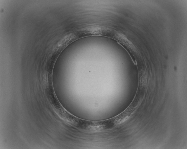 X0000067390213200604031041