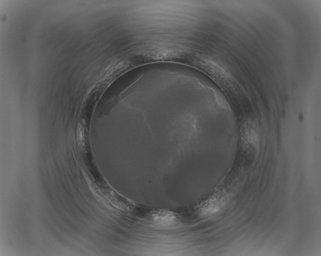 X0000067390214200604031041