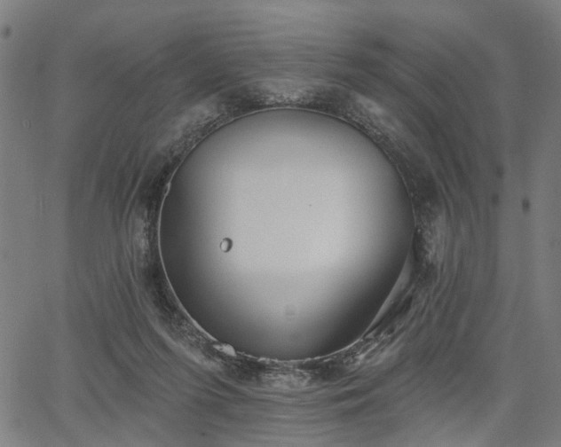 X0000067390215200604031041