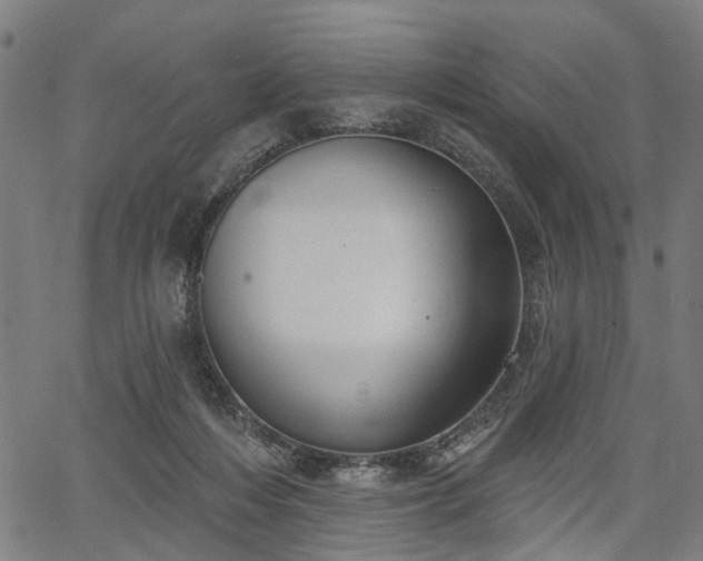 X0000067390216200604031041