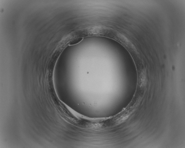 X0000067390217200604031041