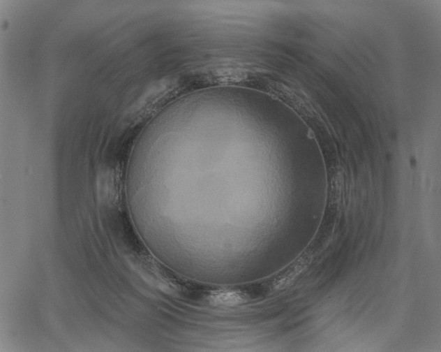 X0000067390218200604031041