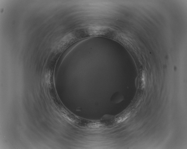 X0000067390219200604031041