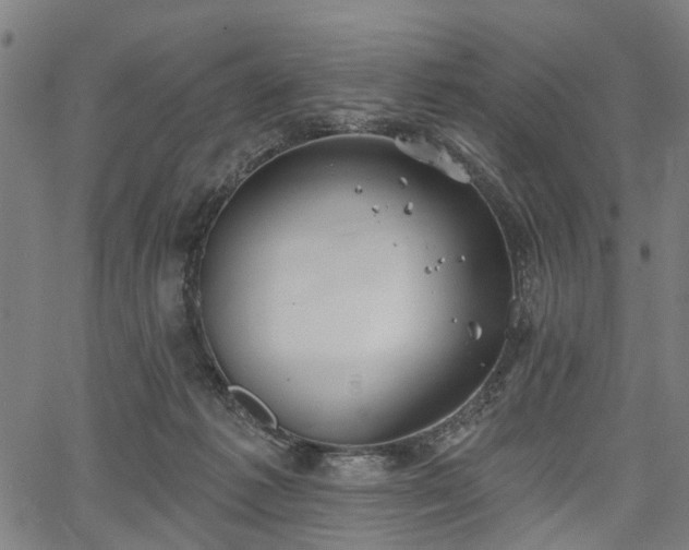 X0000067390221200604031041