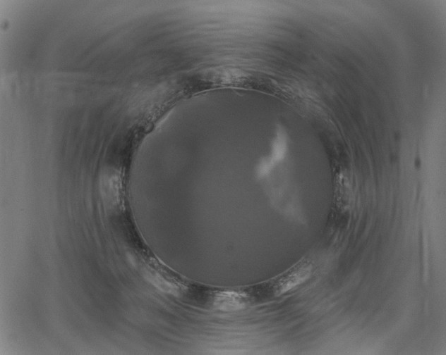 X0000067390222200604031041