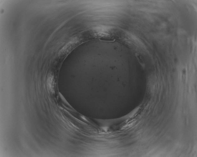 X0000067390223200604031041