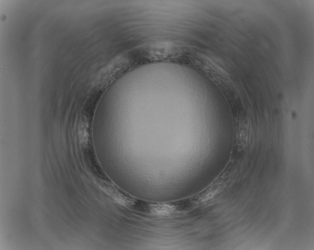 X0000067390226200604031041