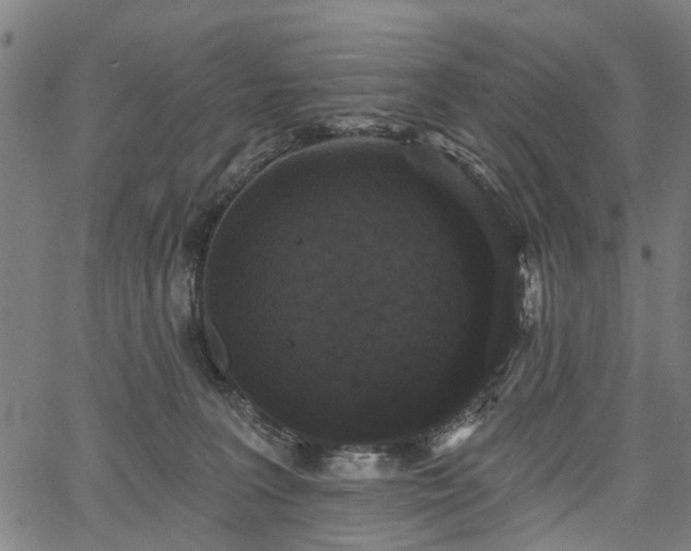 X0000067390227200604031040