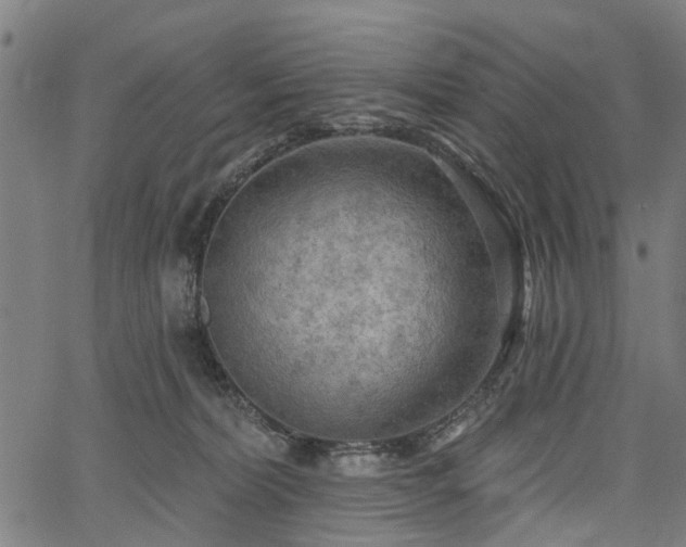 X0000067390228200604031040