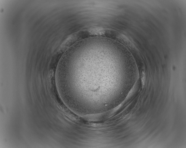 X0000067390229200604031040