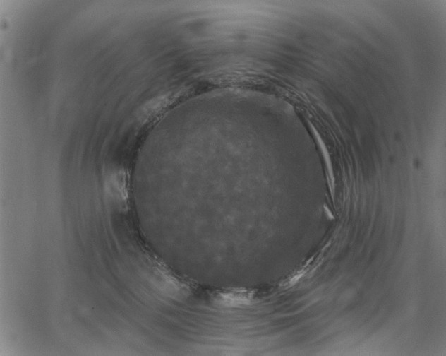 X0000067390232200604031040