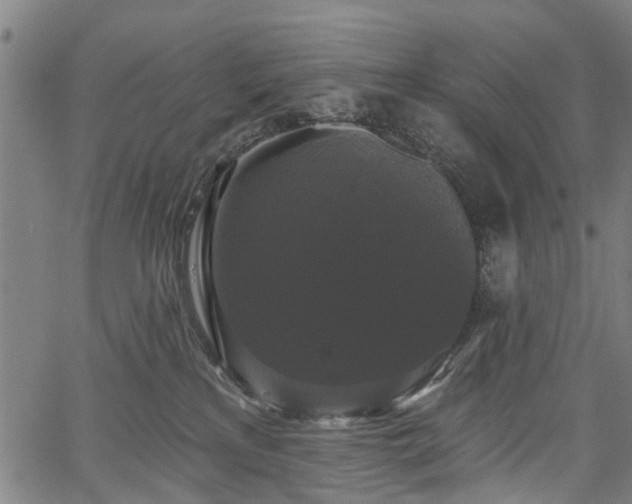 X0000067390233200604031040