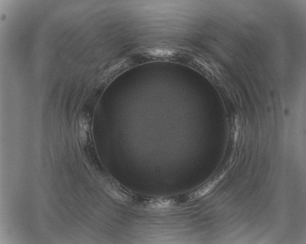 X0000067390235200604031040