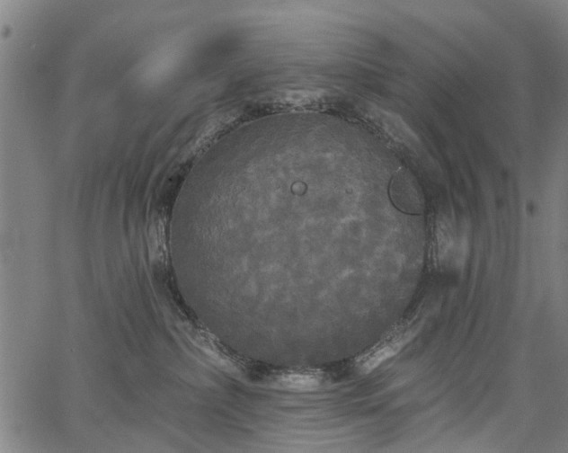 X0000067390236200604031040