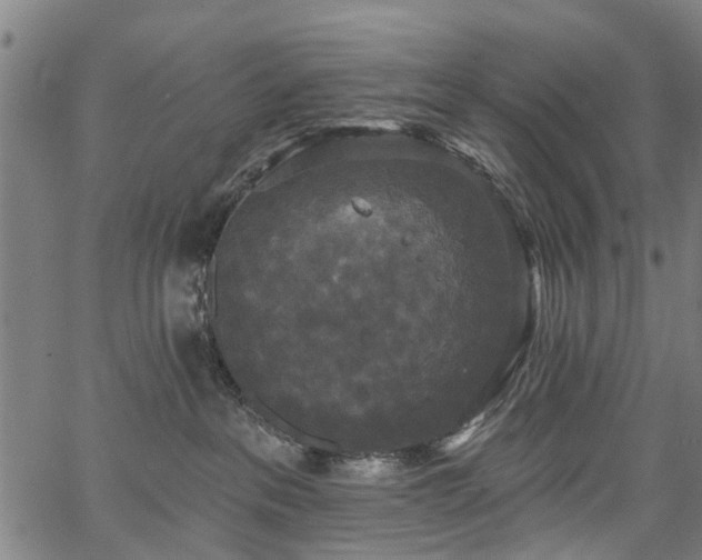 X0000067390237200604031040