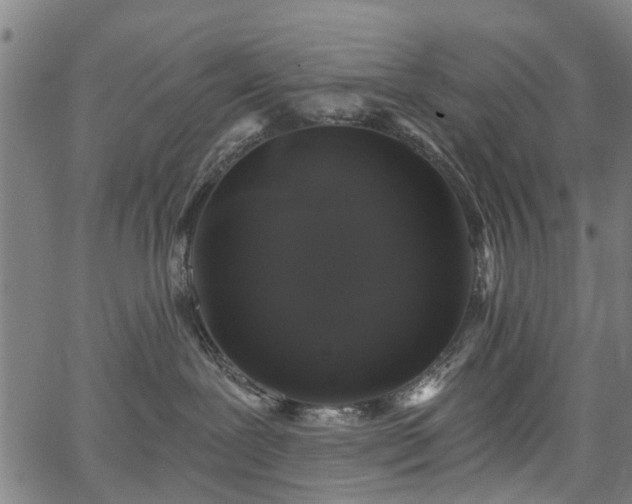 X0000067390239200604031040