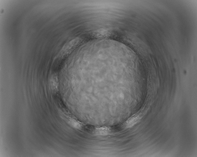 X0000067390240200604031040