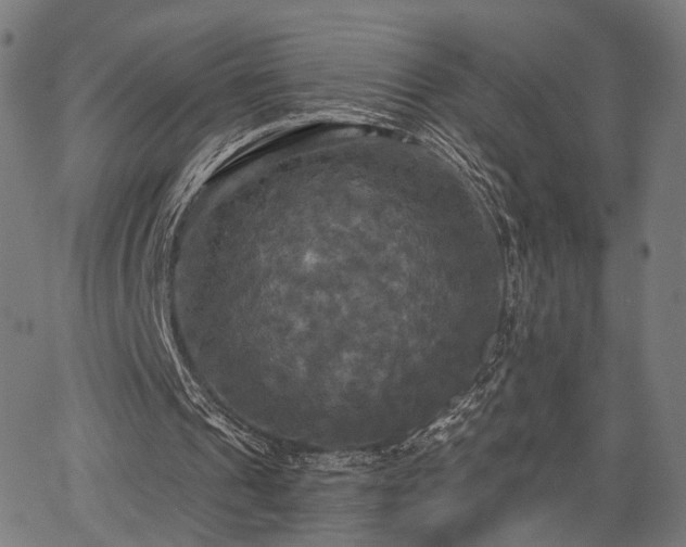 X0000067390241200604031040