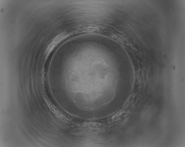 X0000067390242200604031040