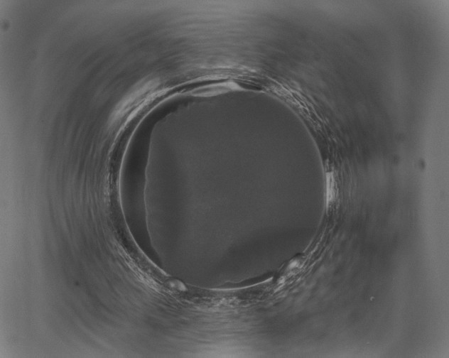 X0000067390243200604031040