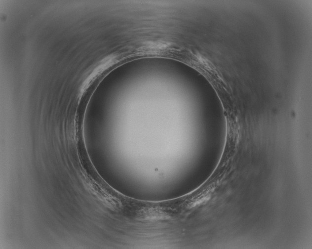 X0000067390244200604031040