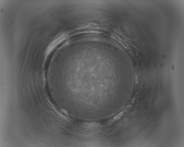 X0000067390245200604031040