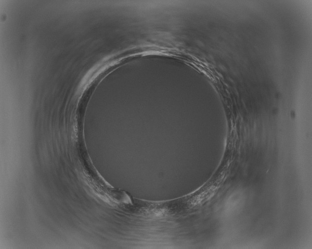 X0000067390247200604031040