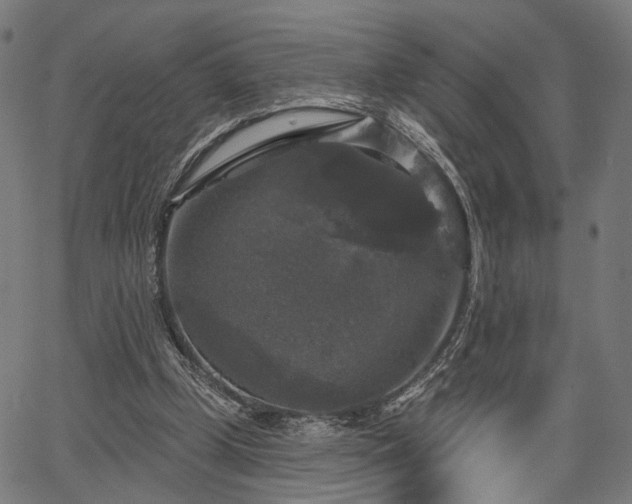 X0000067390249200604031040