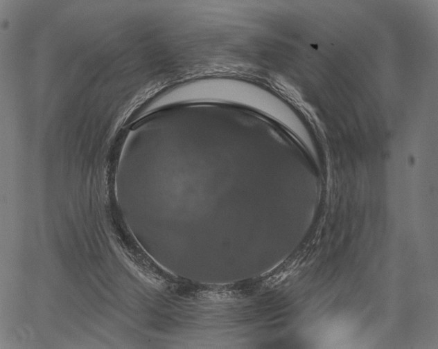 X0000067390250200604031040