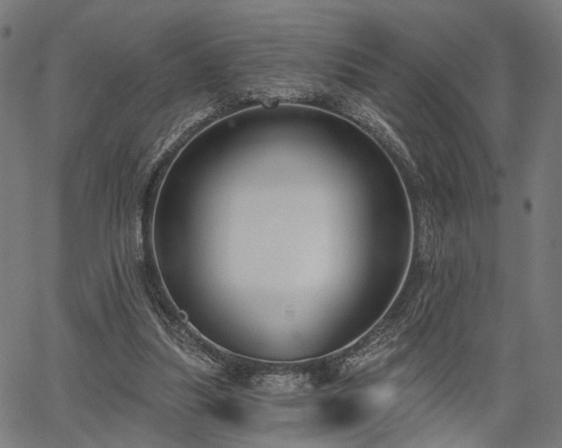 X0000067390251200604031040